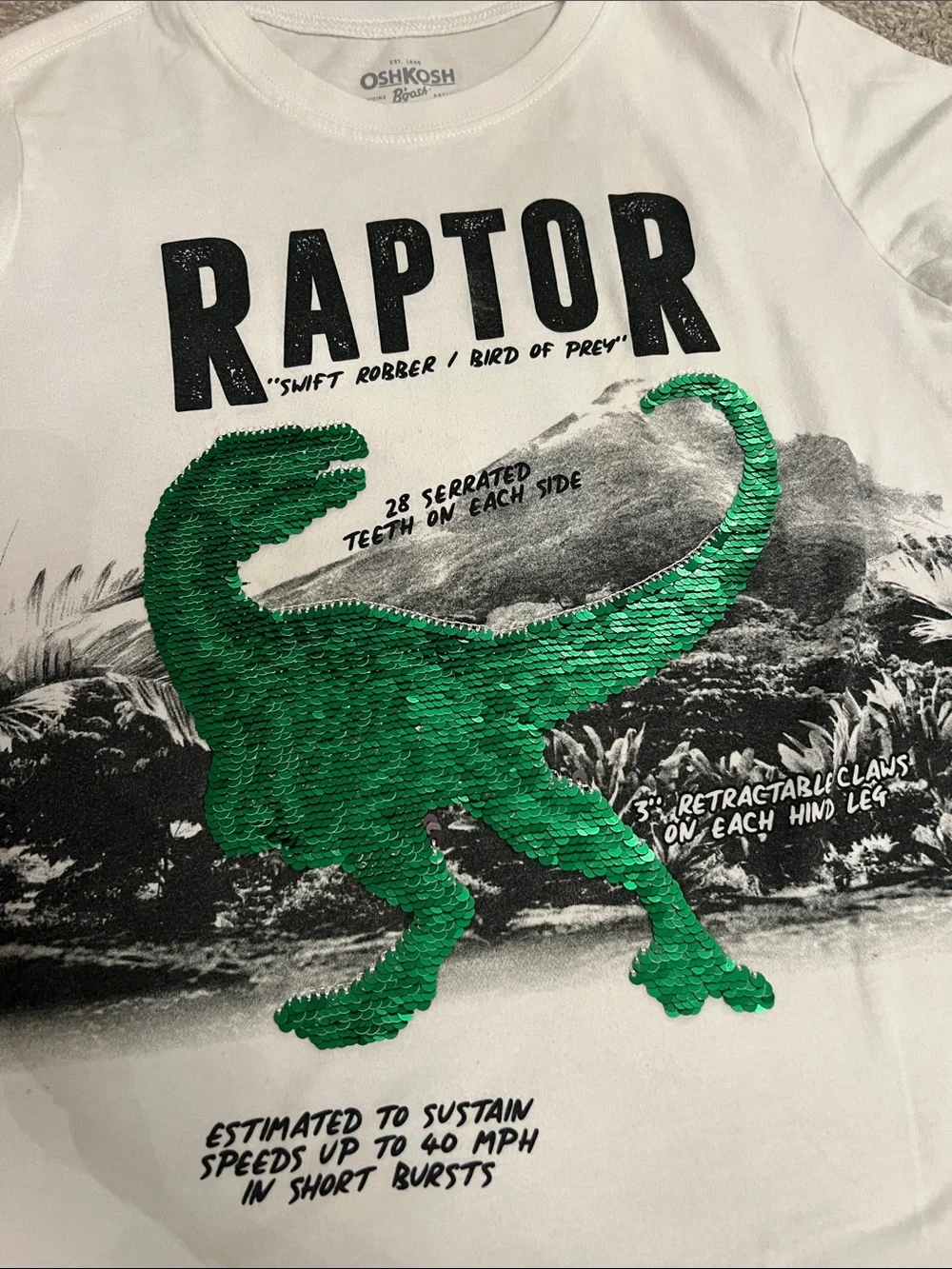 Boys green item bundle - OshKosh Raptor Flip Sequin Tee and Cat & Jack Sweater 🦖